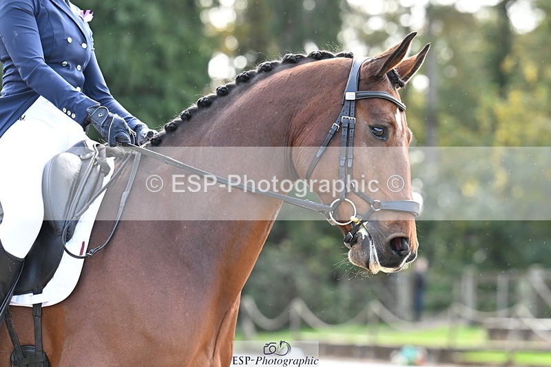 251023A-140805-05463 - B-149-Kate.Rowe