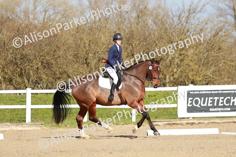 20260314-4425 - DR4 - Prelim 2