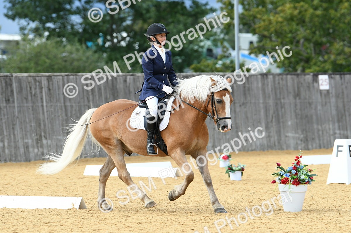 SBM_10914 - D28 Elementary Taster Elementary 42