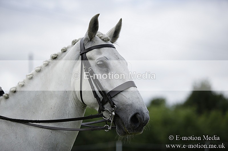 BVR160717-1953 - Side Saddle Classes 16/07/17