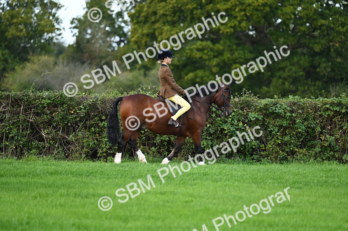 SBM_02530 - S3 - TSR Ridden Pony Showing
