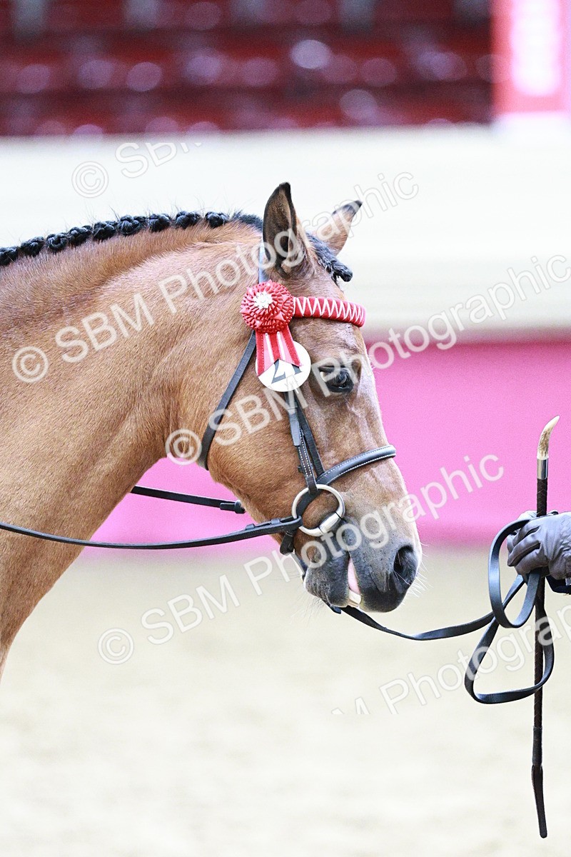 SBM_03051 - Class 5A - Area Ridden Veteran