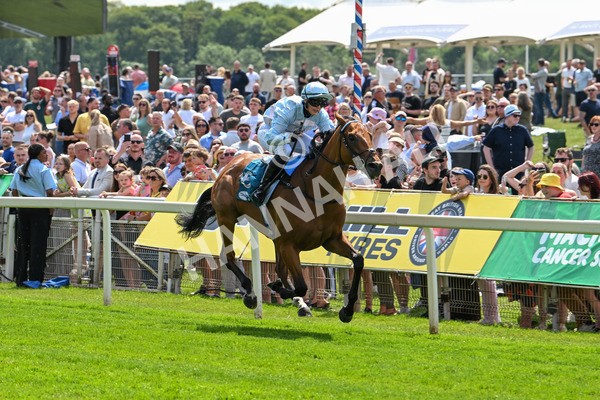 140625-Race 2-My Dream World-2311 - Race 2 2.25pm Queen Mother's Cup Handicap