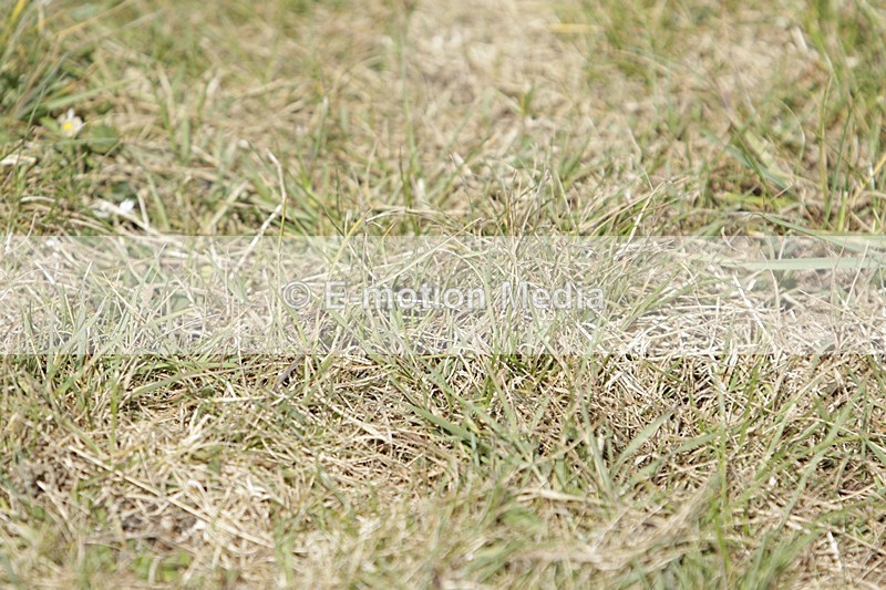 BVHT 140517 I-575 - Class 1 SJ Intermediate 14/05/17