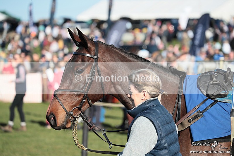 PtP 210326 925 - VWH Cirencester Races 21/03/26
