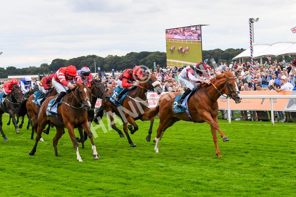 280723-Race 4-Cairn Gorm-0431 - Race 4 6.40pm Tomahawk Restaurants Handicap