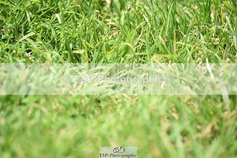 240605-124618-00958 - Cls 4 Novice 37 SQ