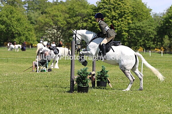 IMG_3521 - Working Hunter