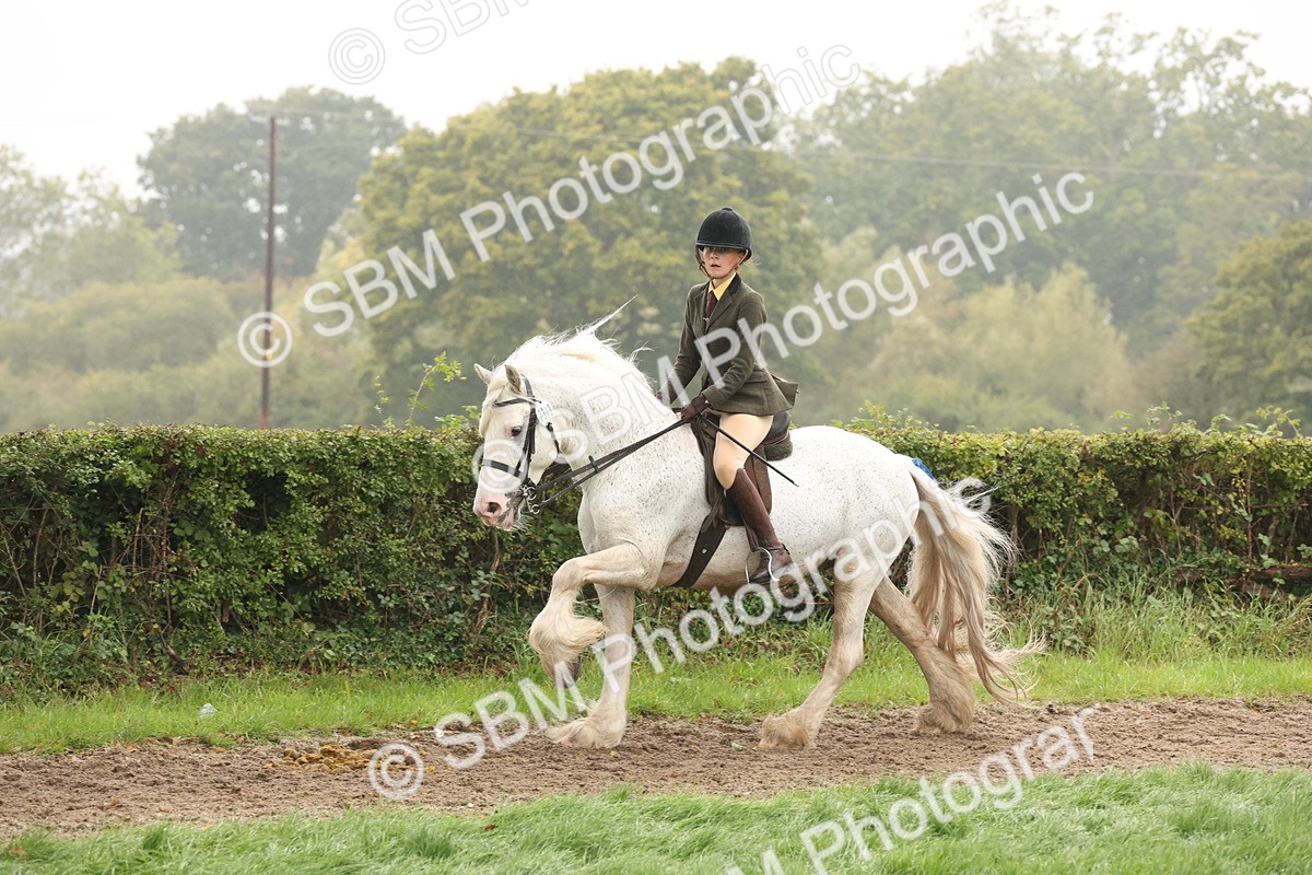 SBM_72741 - S70 - Traditional Cob Ridden