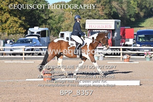 BPP_8357 - SHORT ARENA