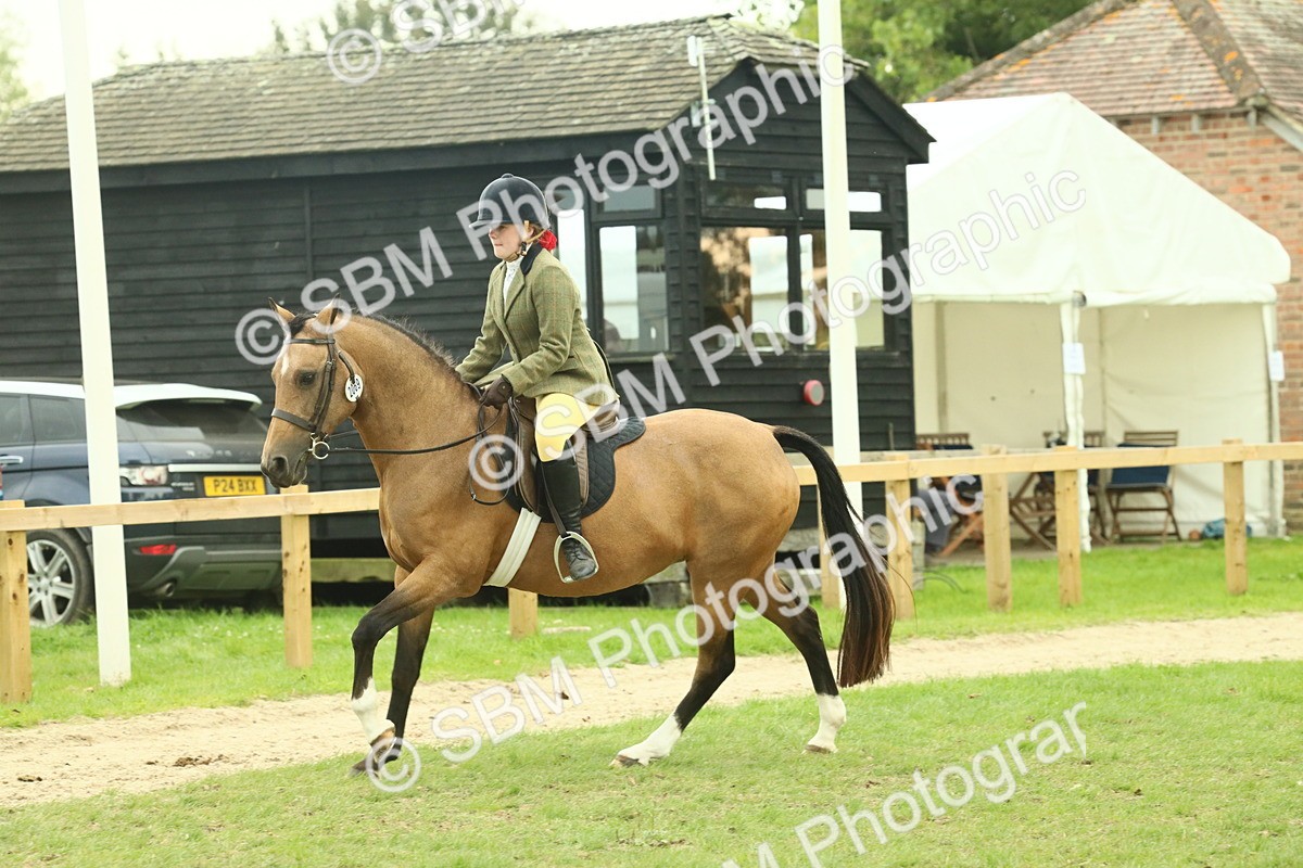 SBM_73970 - S 61 - Show Pony & Show Hunter Pony Ridden