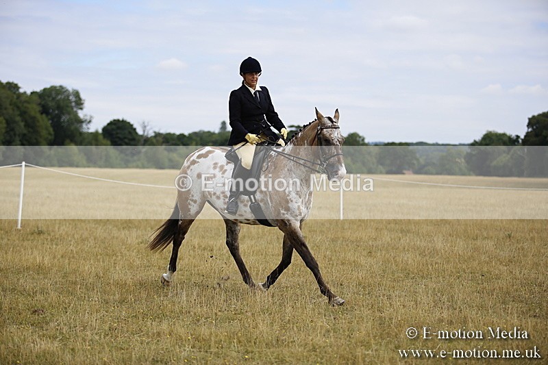 _C7A9507 - BVRC Show 2018 Ring 1