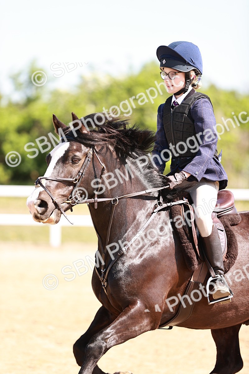 SBM_006968 - Class 2 - 50cm