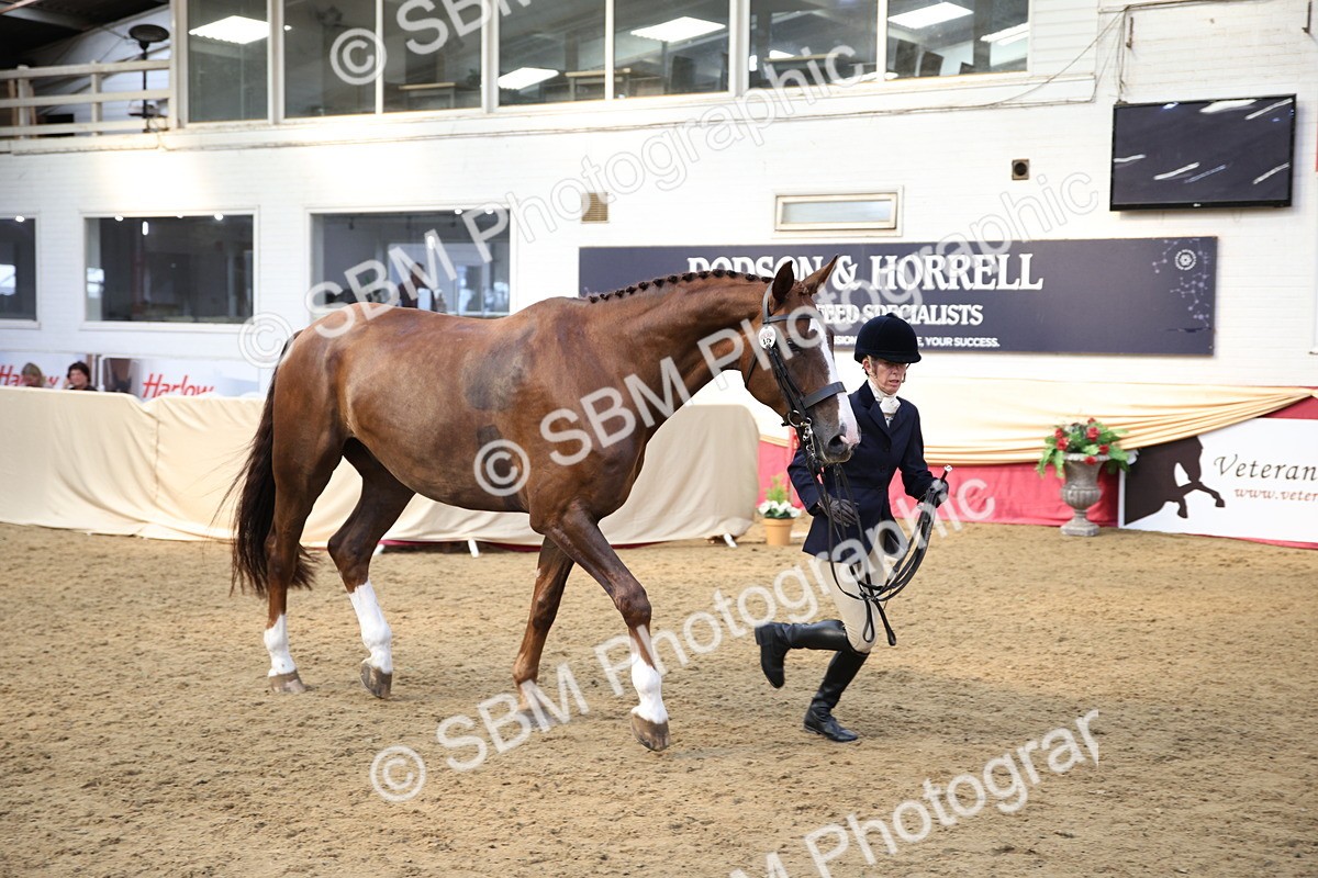 SBM_24788 - Class 906 - Supreme Final - Ridden Pre Vet