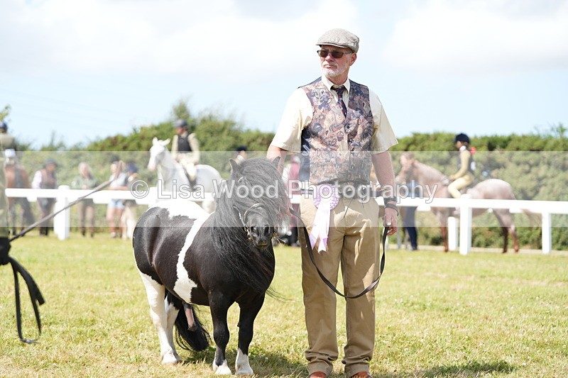 DSC06979 - Class 60: Coloured Pony 4yrs & over