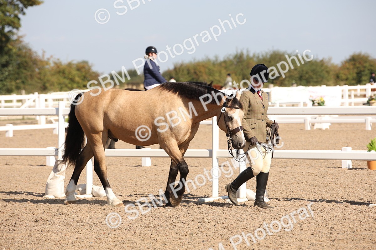 SBM_02658 - Class 16 IH M&M Wildcard