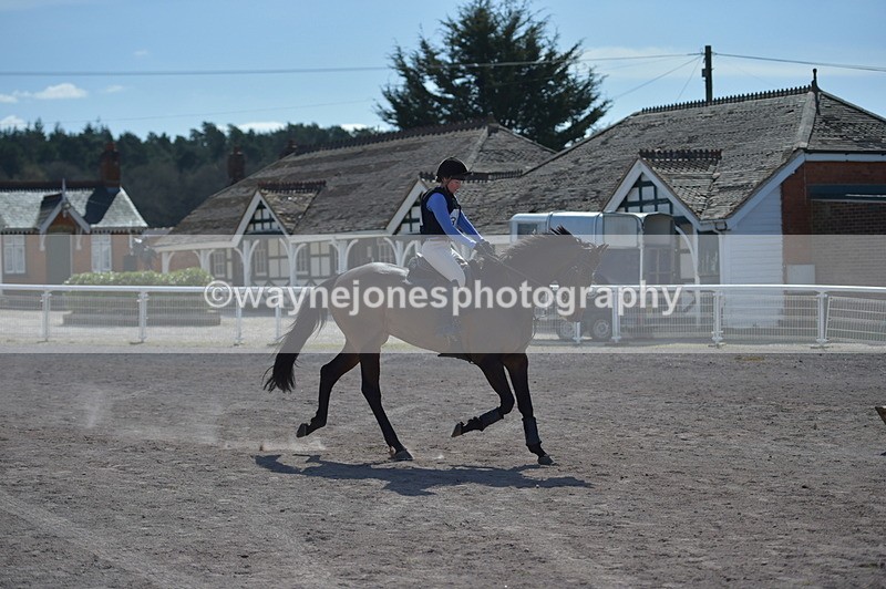 NGP_8201 - XC Time 13:29 to 13:34