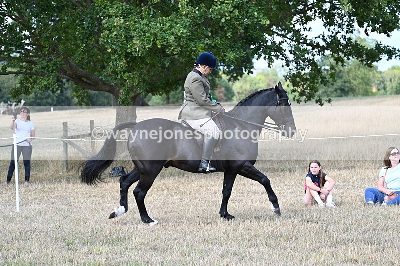 WJ7_6406 - Class 13 Ridden Veterans