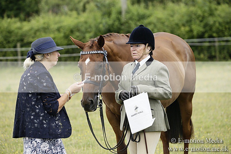 BVR160717-241 - Ring 2 BVRC Show 16/07/17