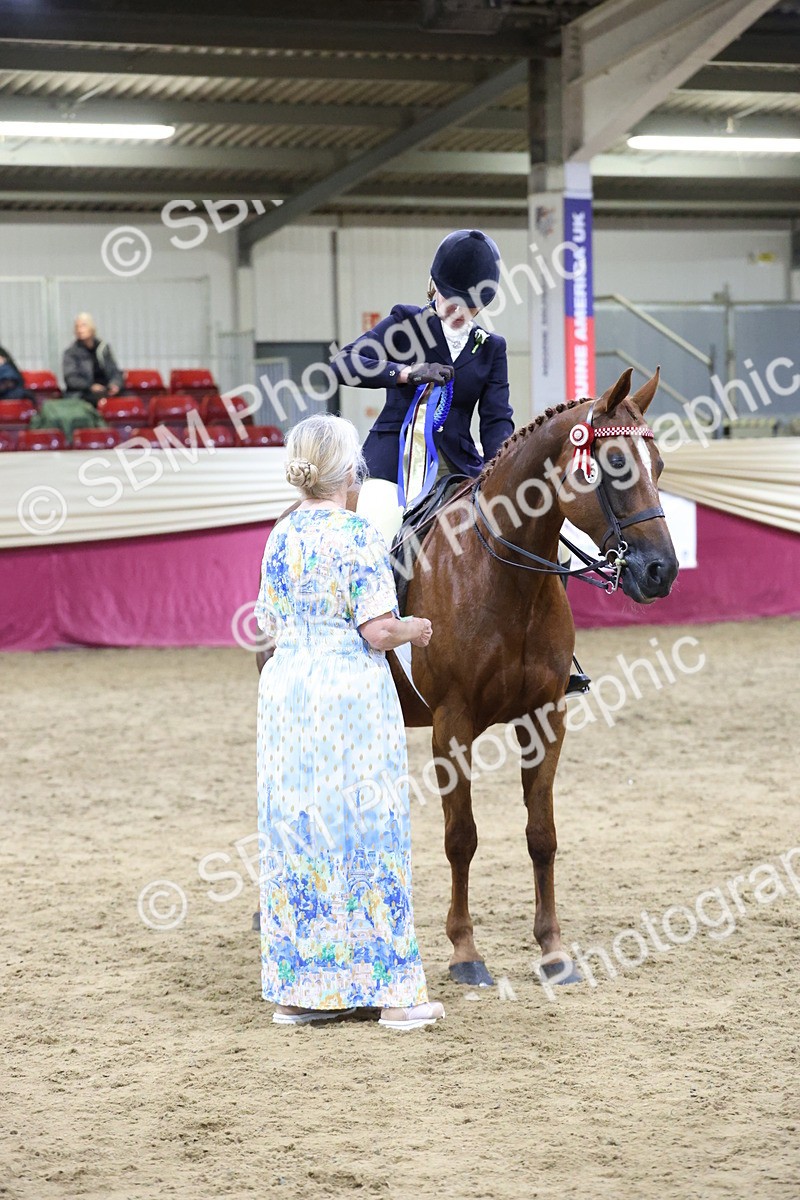SBM_20938 - Class M - Equitation Champ