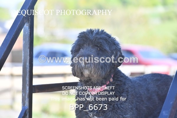 BPP_6673 - CLASS 37 MON 0.85m Amateur Championship Qualifier