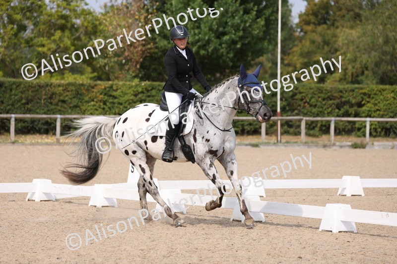 20250819-1588 - Class 5 - Novice 3