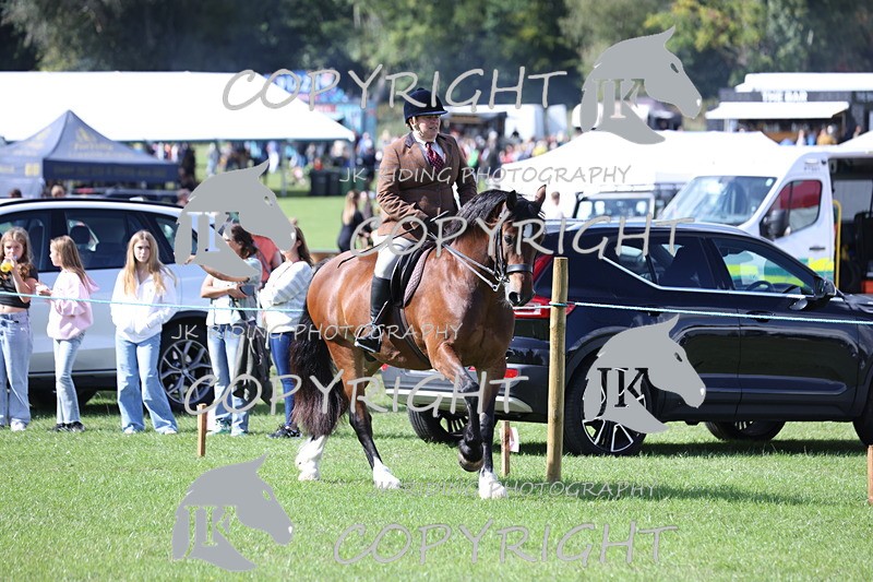 APP_3507 - Class 12 M&M ridden