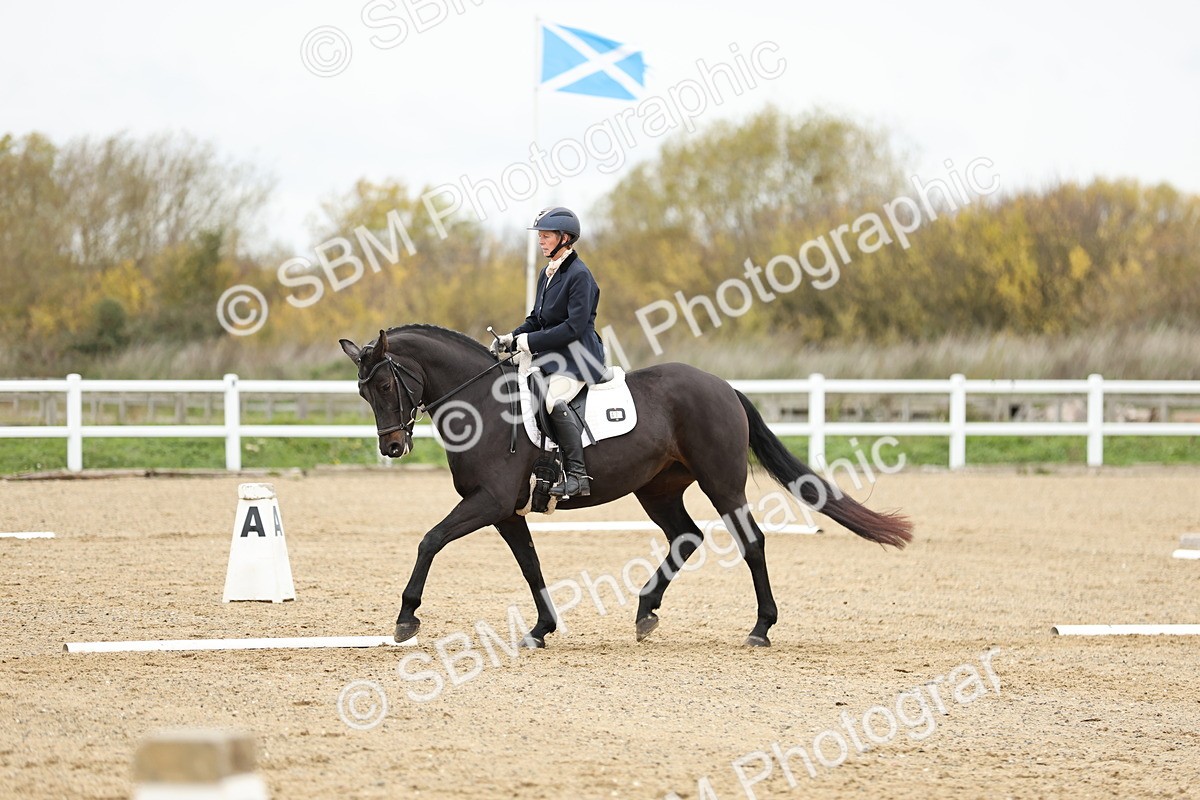 SBM_003740 - Class 9-12 - Novice 2 Elementary 3