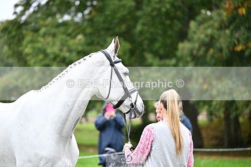 251022A-160838-00720 - A-011-Tara.Moore