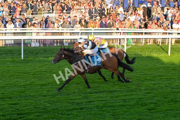 260724-Race 6-Duran-5540 - Race 6 8.20pm Sky Bet Go-Racing-In-Yorkshire Summer Festival Handicap