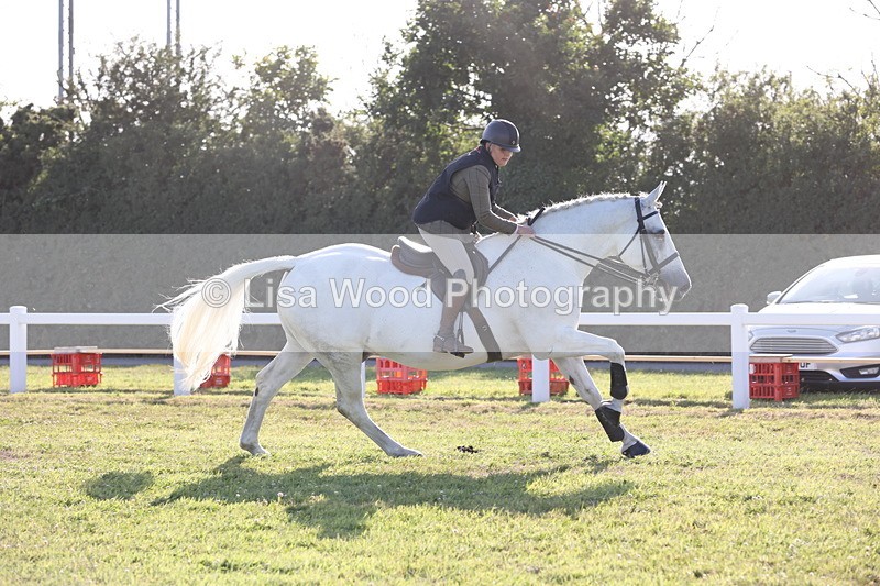 JPP_3364 - Class 22: Working Hunter 90cm