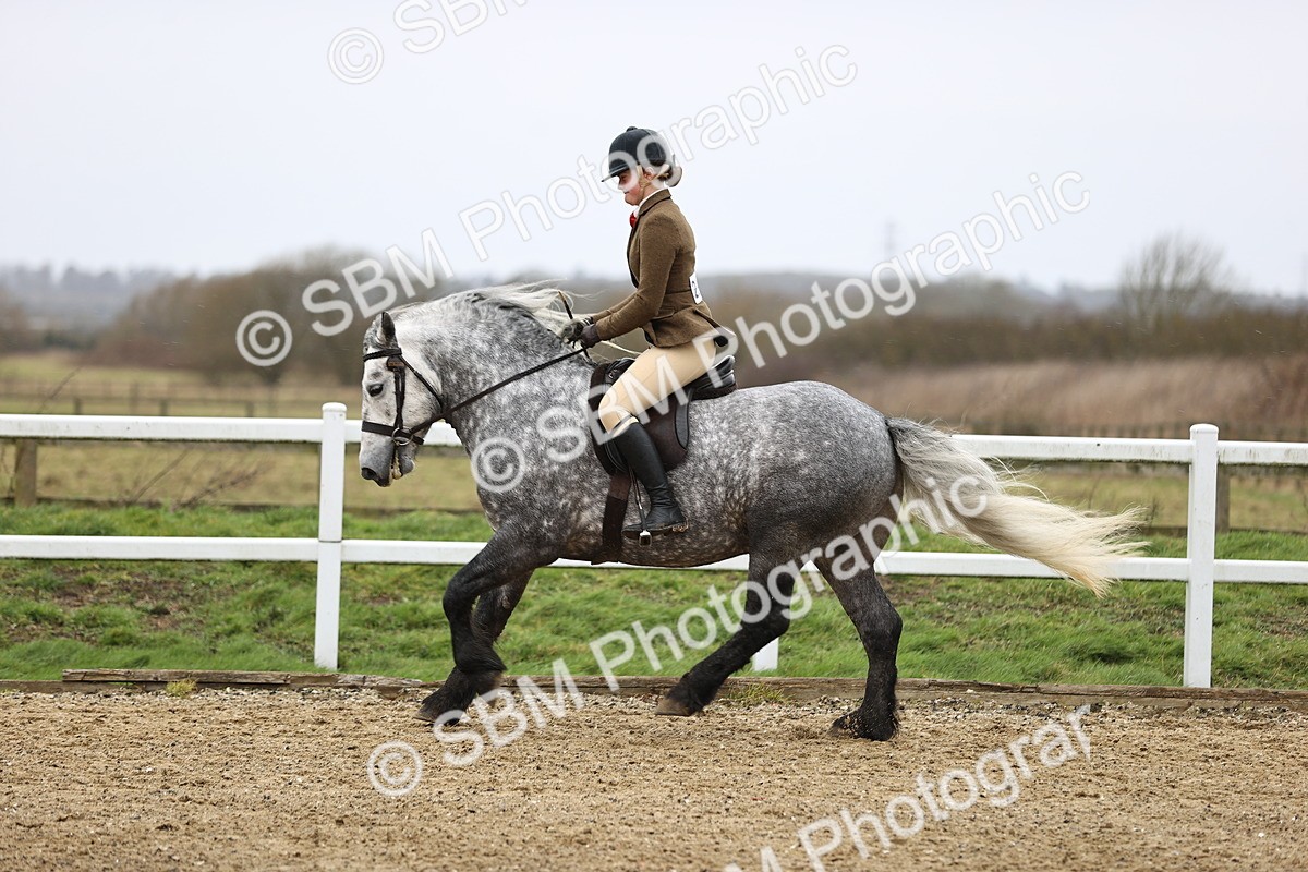 SBM_007541 - Class 31-32 - M&M Confined Novice Small-Large