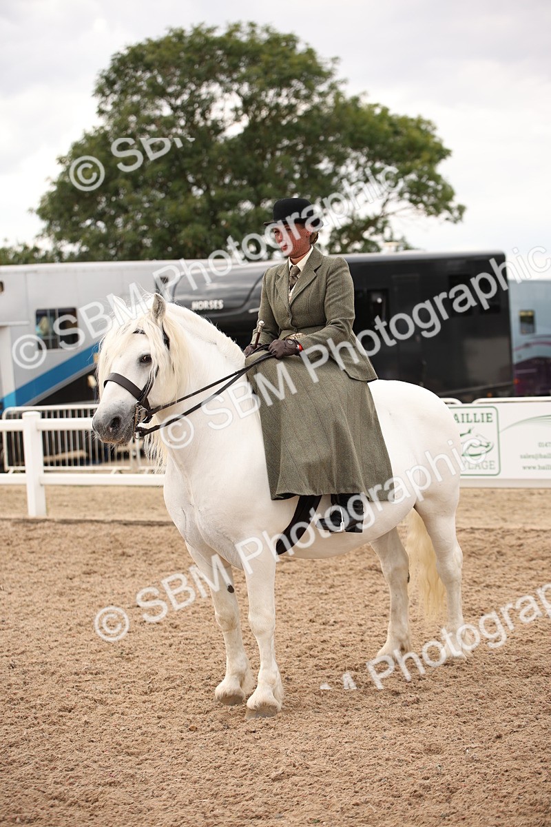 SBM_05393 - Class 22 SSA Equitation