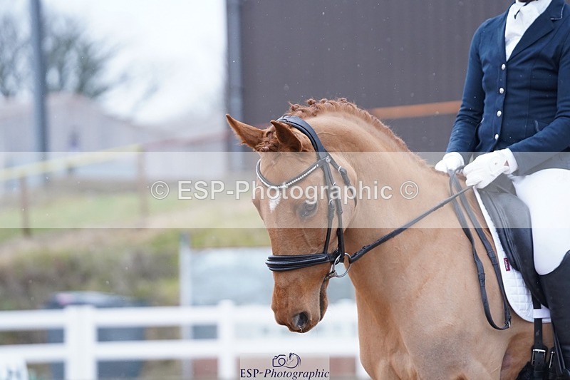 250214-122742-00571 - 247-Andrea.Kennedy-Ricardo.Red