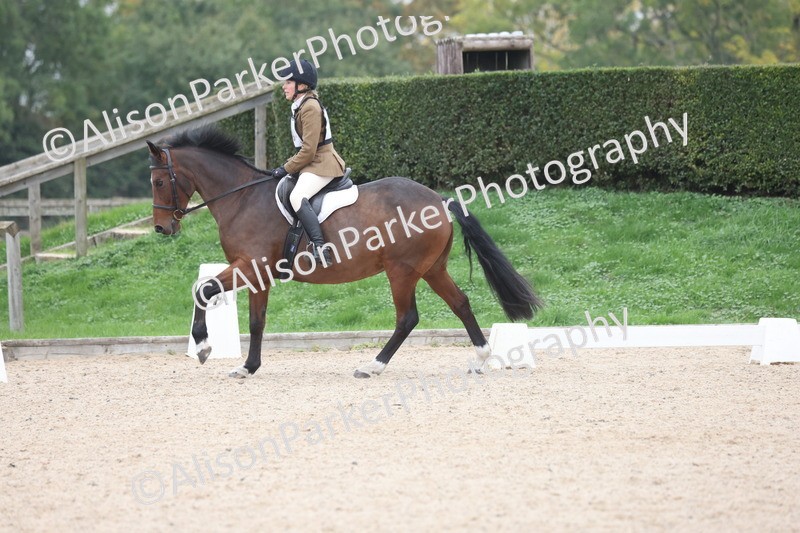 20251011-0521 - Class 5 - Novice 3