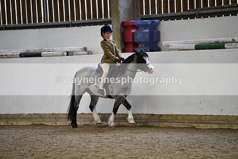 WJ5_6514 - Class 10 Childs Pony