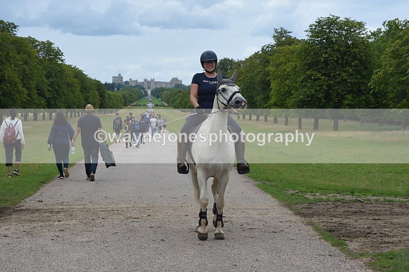 TT3_0081 - Time at Crossing 13:17 to 14:48