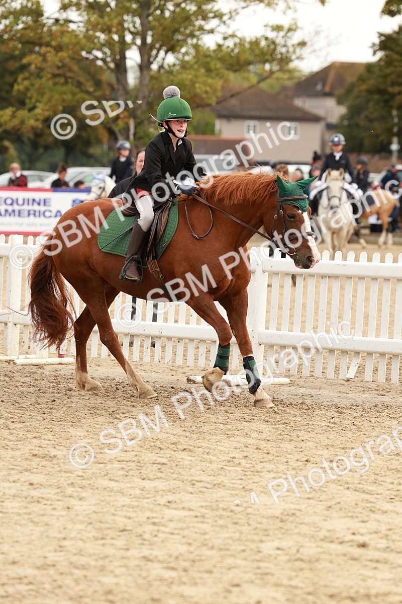 SBM_57655 - J11 - Junior Pony 50cm Championship