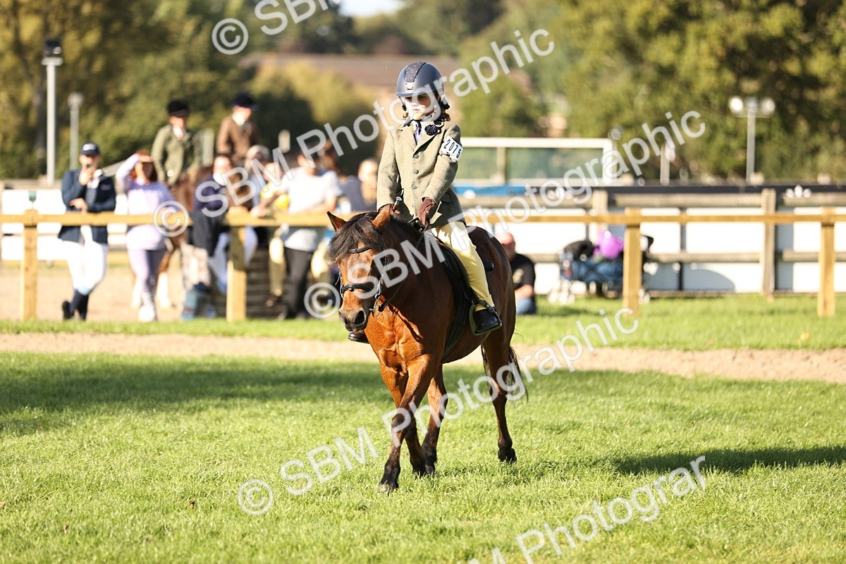 SBM_29431 - S7 - Novice & Newcomers Ridden Pony
