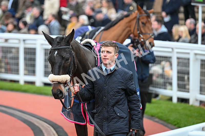 171124-Race 5-Paddock-Black Poppy-3695