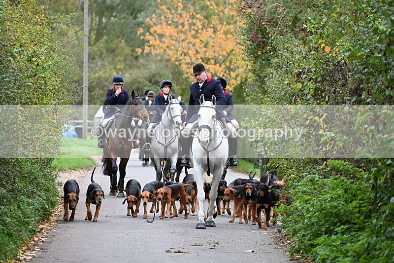 WJ6_8333 - Walk Home..