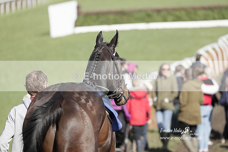 PtP 100423 822 - Old Berkshire Point-to-Point Lockinge 10/04/23