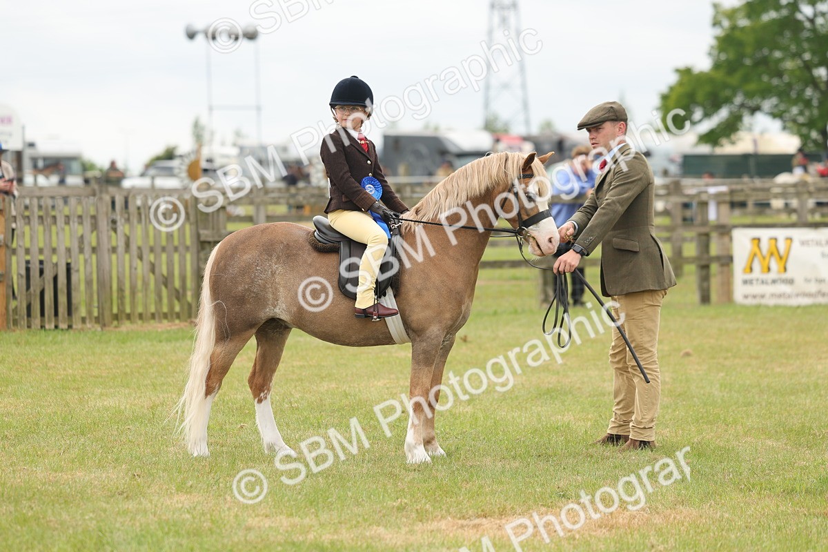 SBM_06947 - Class 74-75 - M&M Lead Rein and First Ridden Pony