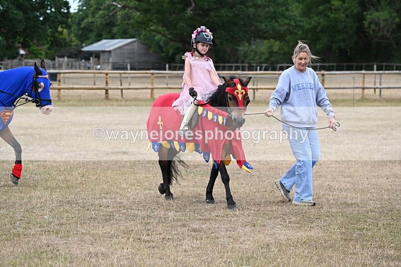 WJ6_8648 - Class 11 Fancy Dress