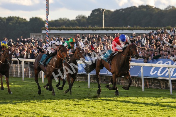 141023-Race 7-Star Ahoy-0692 - Race 7 4.45pm Coral 'Committed To Safer Gambling' Finale Handicap