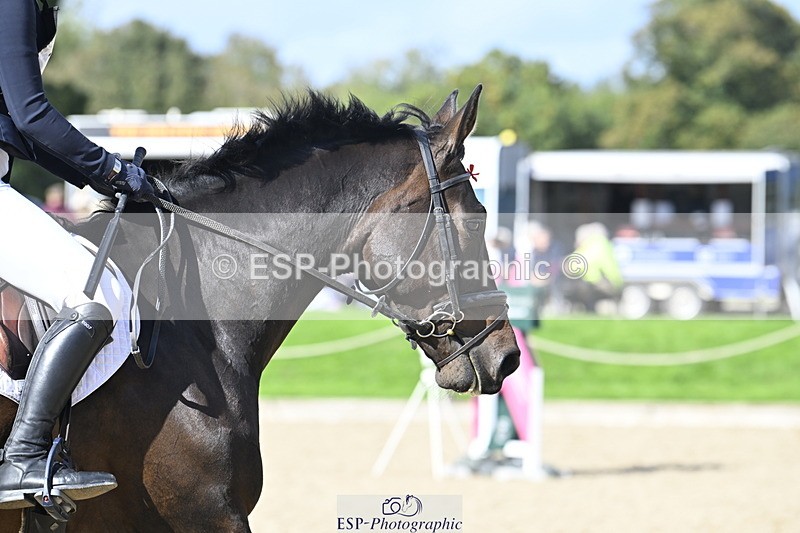 251005A-142422-04396 - Cls 09 Nov 80-85cm