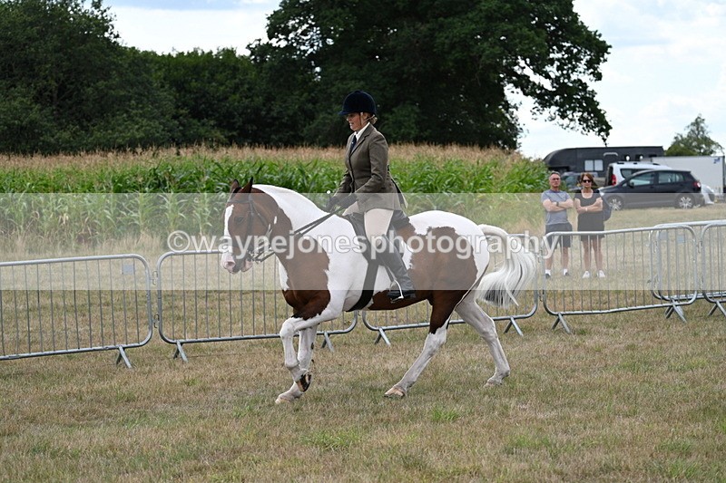 WJ7_5092 - Class 12 Ridden Cob