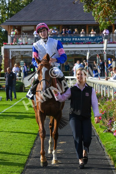 240823-Race 7-Nigiri-0912 - Race 7 5.20pm British EBF 40th Anniversary Fillies' Handicap