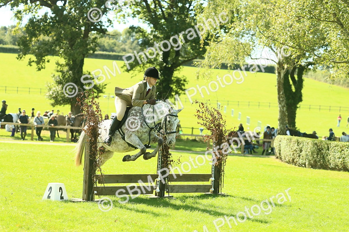 SBM_39247 - S29 - Novice & Newcomers Working Hunter Pony