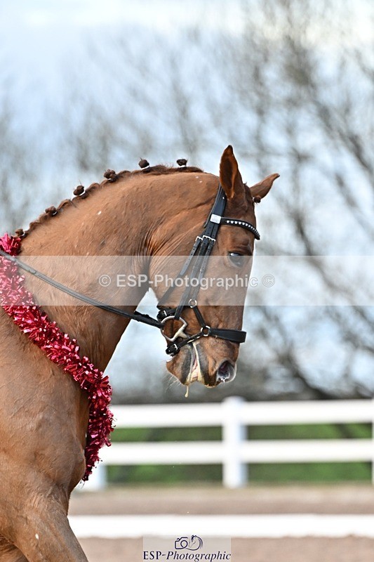 241214-150547-03095 - 137-Tyler.Bradshaw-Gijsbert